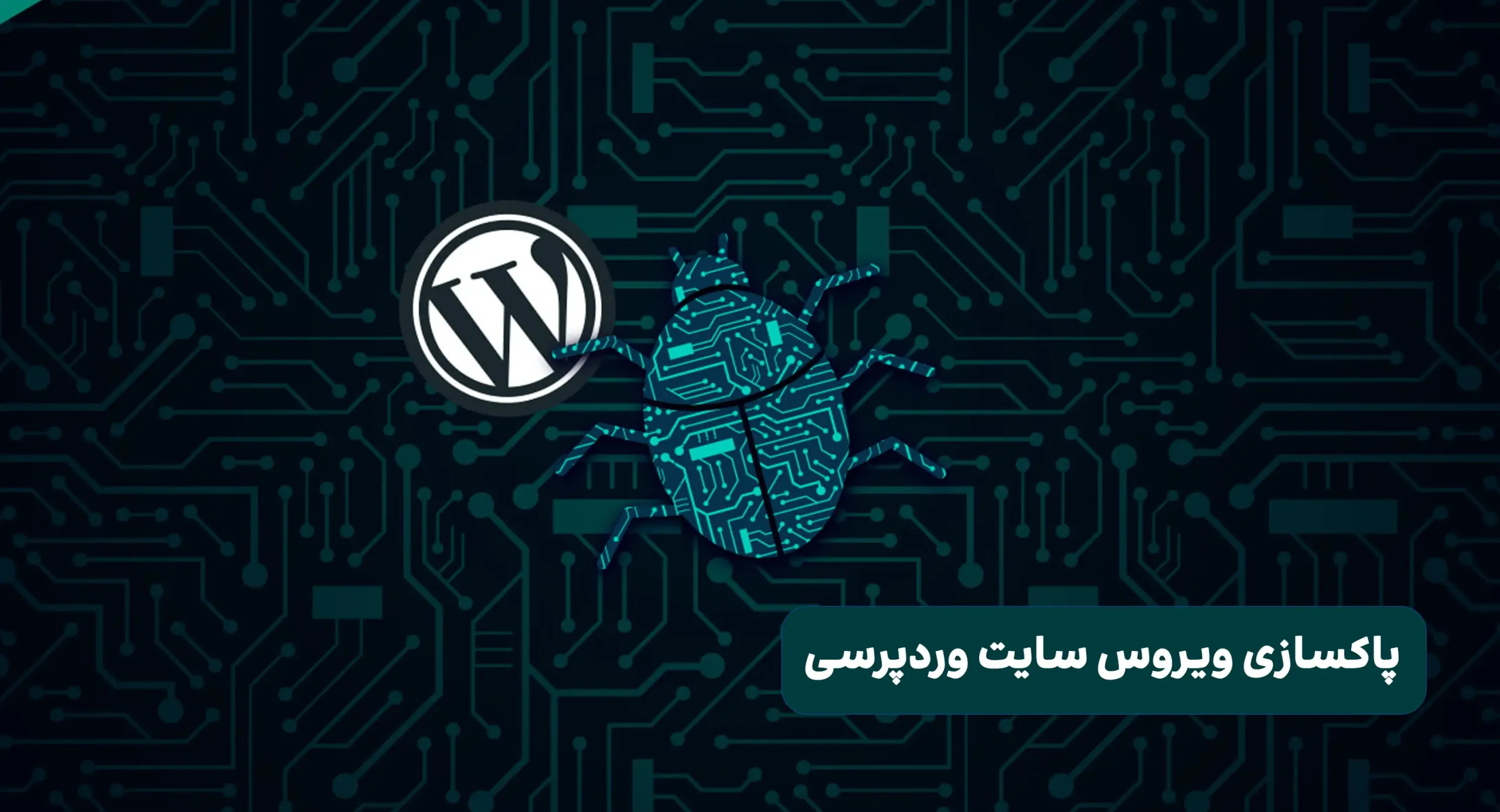 آموزش پاکسازی ویروس سایت وردپرسی