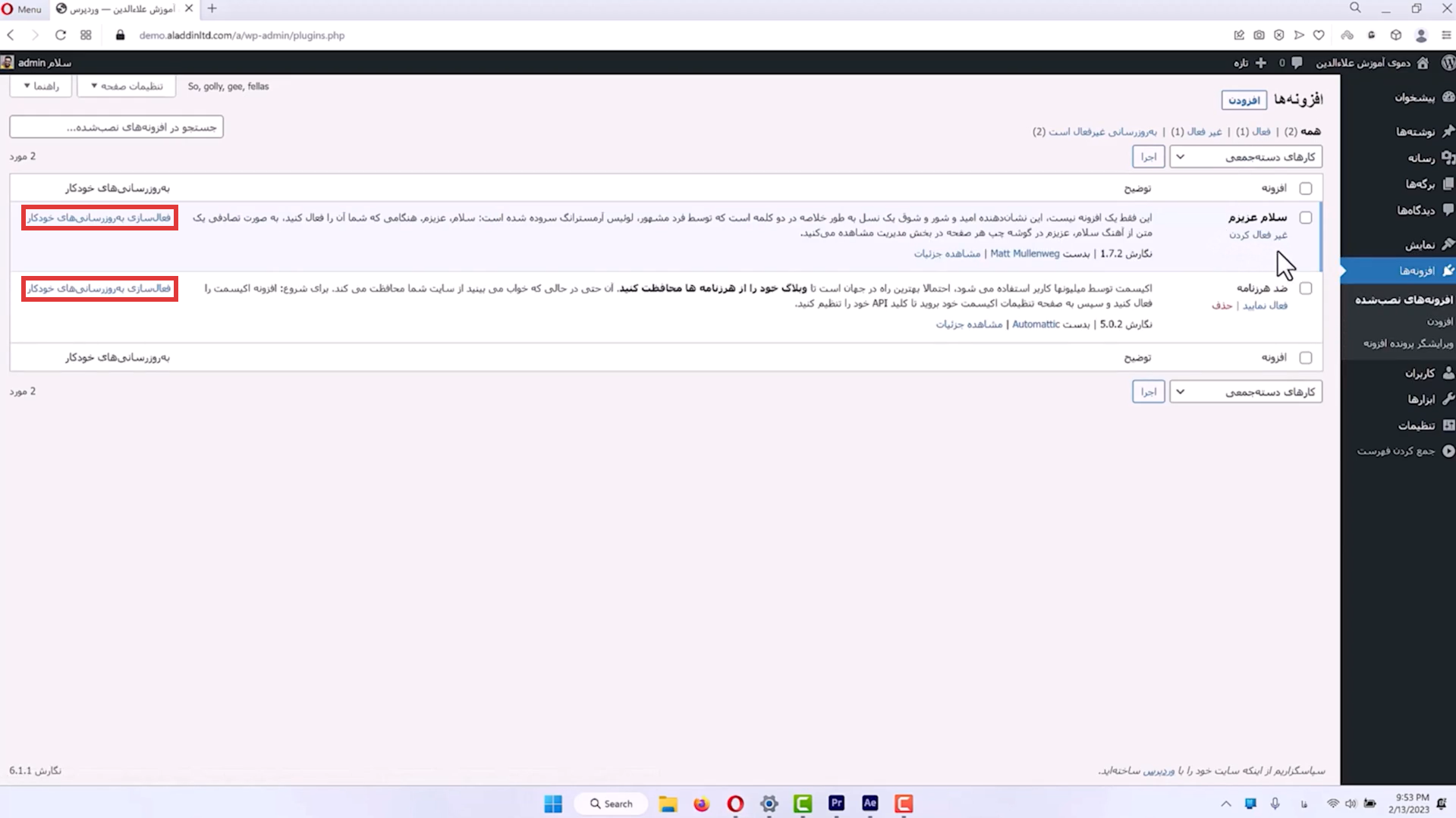 جلسه هفدهم - مدیریت افزونه ها 6 فعال سازی آپدیت خودکار برای افزونه ها در طراحی سایت وردپرس